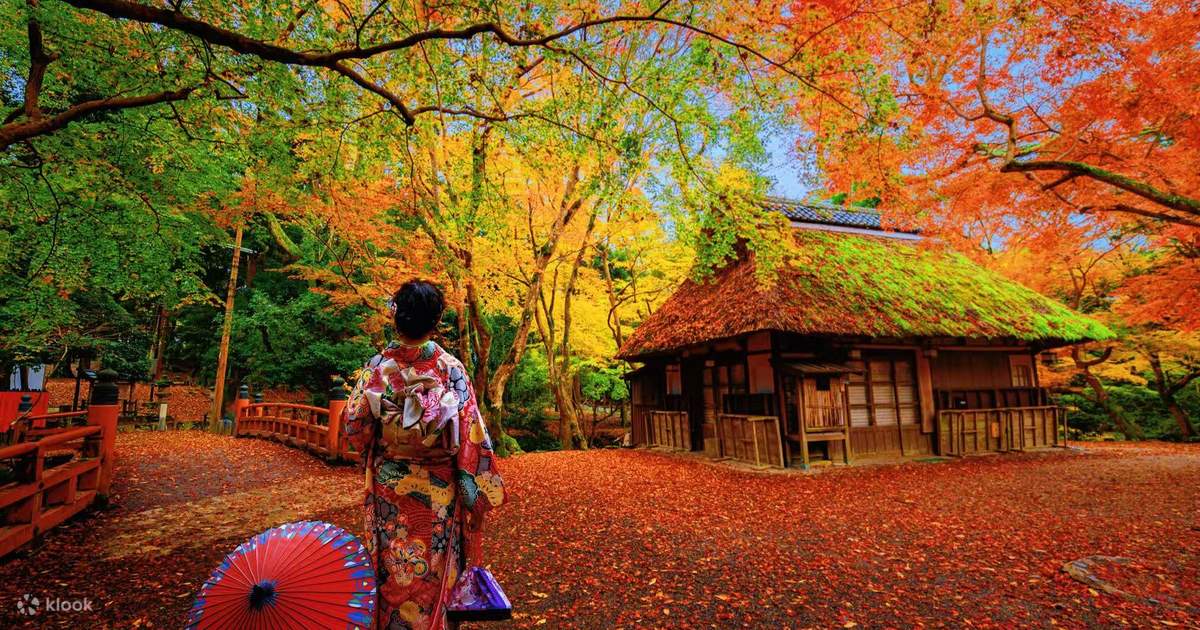 [Autumn Limited] Kyushu Beppu Fall Color Viewing Day Tour｜Kamado Shrine ...